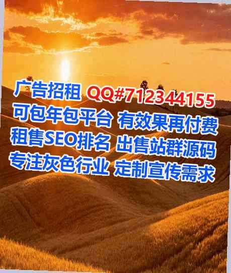 崆峒孕母货运公司